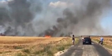 Edirne’de tarla yangını: 50 dönüm buğday küle döndü