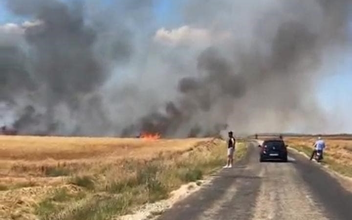 Edirne’de tarla yangını: 50 dönüm buğday küle döndü