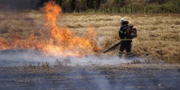 Edirne’de tarlada çıkan yangın korkuttu