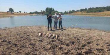 Edirne’de toplu balık ölümleri ile ilgili soruşturma başlatıldı