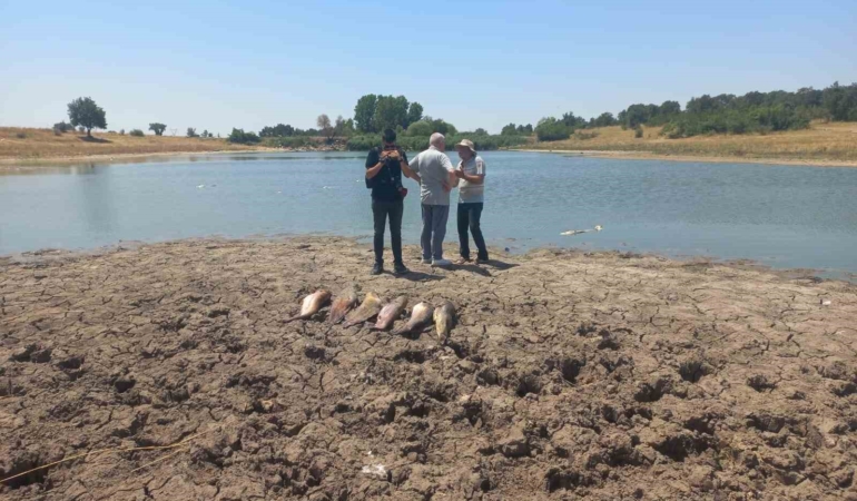 Edirne’de toplu balık ölümleri ile ilgili soruşturma başlatıldı