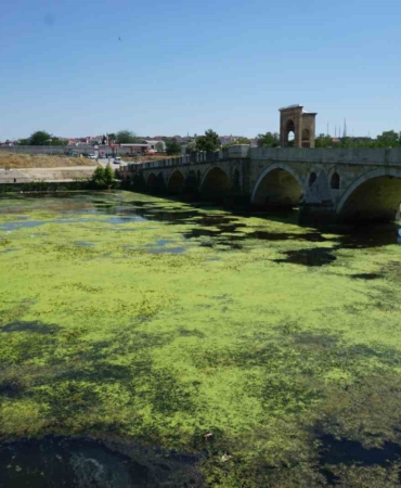 Edirne’de Tunca Nehri yeşile büründü