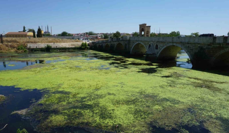 Edirne’de Tunca Nehri yeşile büründü