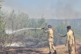 Edirne’de üç köyü etkileyen yangın söndürüldü