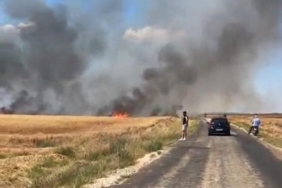 Edirne’deki yangında 20 bin dönümlük alanda 38 ton buğday kül oldu