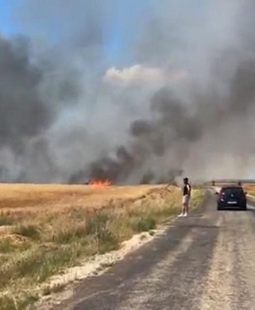Edirne’deki yangında 20 bin dönümlük alanda 38 ton buğday kül oldu