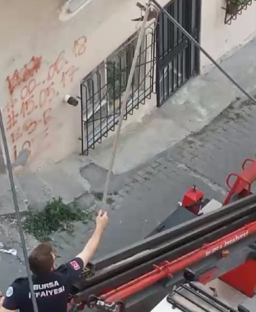 Elektrik kablosunda asılı olan kuşu itfaiye ekipleri kurtardı