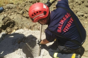 Erdek’te çukura düşen yavru domuzun imdadına itfaiye yetişti