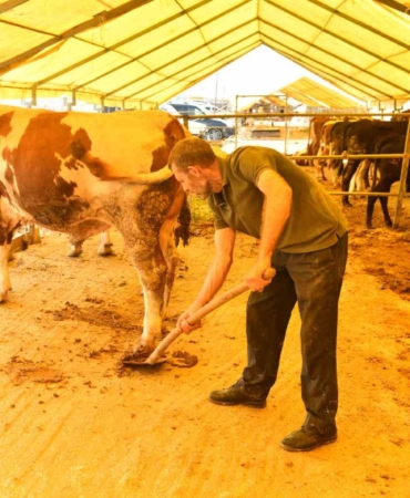 Esenyurt Belediyesi tarafından hayvansal atıklardan organik gübre elde ediliyor