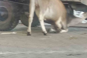 Esenyurt’ta bayram günü korkutan yangın