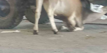 Esenyurt’ta bayram günü korkutan yangın