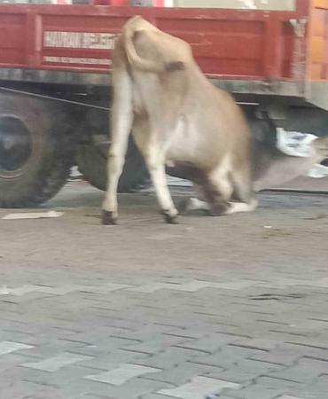 Esenyurt’ta bayram günü korkutan yangın