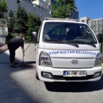 Eyüpsultan’da ilaçlama çalışmaları sürüyor