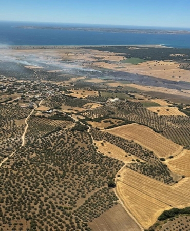 Ezine’de tarım arazisinde başlayan yangın ormanlık alana sıçramadan kontrol altına alındı