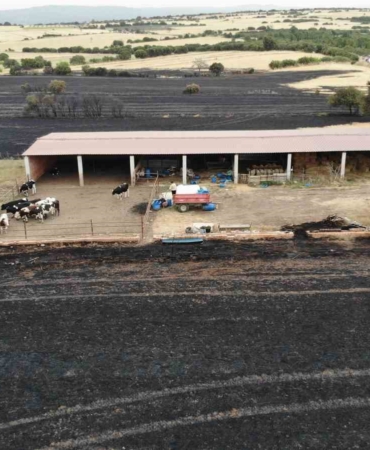 Ezine’deki orman yangını kontrol altına alındı