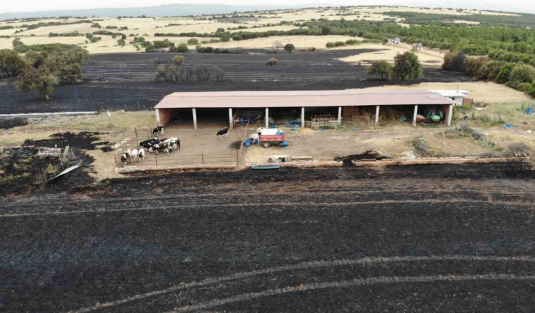 Ezine’deki orman yangını kontrol altına alındı