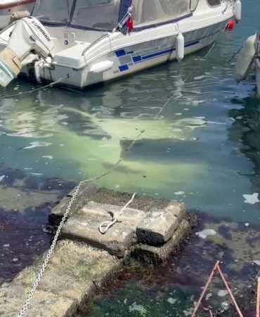 Fatih Ayvansaray Caddesi üzerinde sürücüsünün yol kenarına park ettiği otomobil denize düştü. Otomobilin içerisinde kimsenin olmadığı öğrenilirken, bölgeye ekipler sevk edildi.