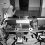 Fatih’te iş yerini soyan 3 hırsız kamerada