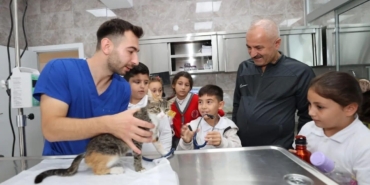 Gebze’de 309 patili can yeni yuvalarına kavuştu