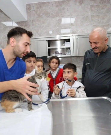 Gebze’de 309 patili can yeni yuvalarına kavuştu