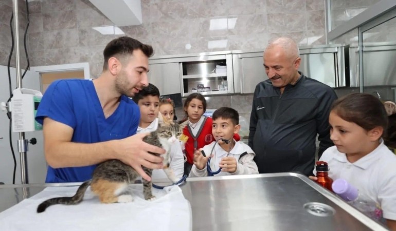 Gebze’de 309 patili can yeni yuvalarına kavuştu