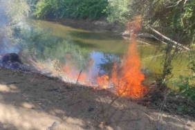 Göksu Nehri kenarında çıkan yangın kısa sürede söndürüldü