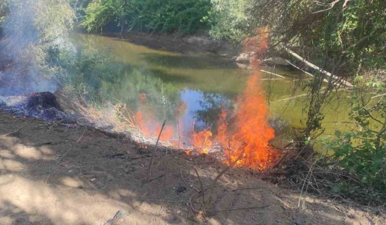 Göksu Nehri kenarında çıkan yangın kısa sürede söndürüldü