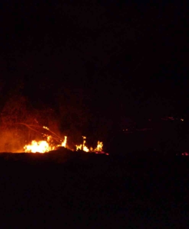 Göksu nehri kenarında çıkan yangın kısa sürede söndürüldü