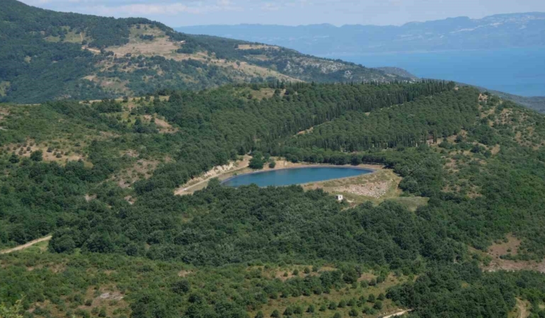 Göletteki su seviyesi çiftçiyi sevindirdi