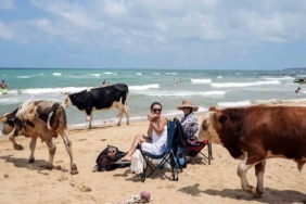 Halk plajları doldu, ’beach’lerde şezlonglar boş kaldı