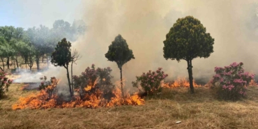Hatıra ormanında yangın