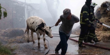 Hayvanları kurtarmak için canı pahasına alevlerin ortasına girdi