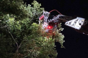 İnegöl’de itfaiyenin ilginç keser operasyonu