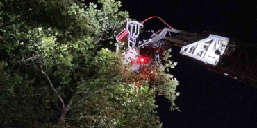 İnegöl’de itfaiyenin ilginç keser operasyonu