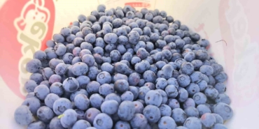 İnegöl’den 5 ülkeye yaban mersini ihracatı