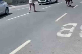 İstanbul’da kurbanlık dana firarda: Trafiği birbirine katan dana iki ilçe değiştirdi