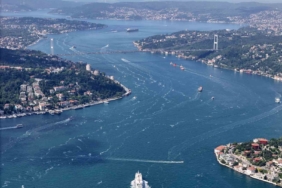 İstanbul’da müsilaj uyanıyor