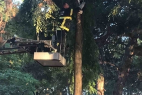 İtfaiyeden kedi kurtarma operasyonu