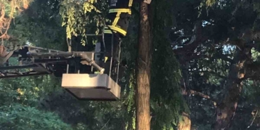 İtfaiyeden kedi kurtarma operasyonu