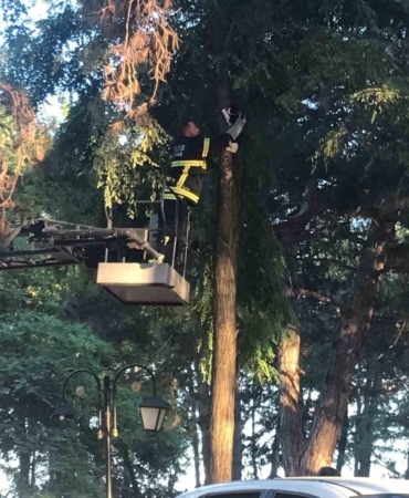 İtfaiyeden kedi kurtarma operasyonu