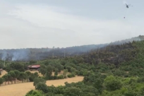 İvrindi’de orman yangını