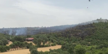 İvrindi’de orman yangını
