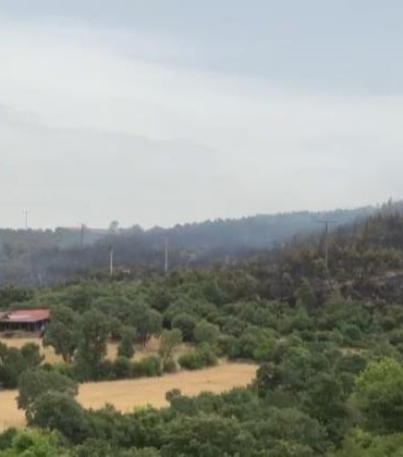 İvrindi’de orman yangını