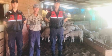 Jandarma kaybolan koyunları dron ile buldu