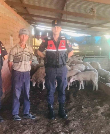 Jandarma kaybolan koyunları dron ile buldu