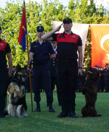 Jandarmanın Taka ve Yama isimli köpekleri gösteri yaptı