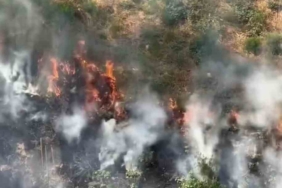 Kağıthane’de otluk alanda yangın: Dumanlar gökyüzünü kapladı, panik yaşandı