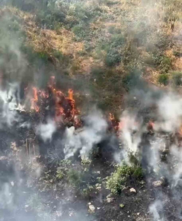Kağıthane’de otluk alanda yangın: Dumanlar gökyüzünü kapladı, panik yaşandı