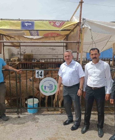 Kaymakam Öztürk hayvan pazarında incelemelerde bulundu