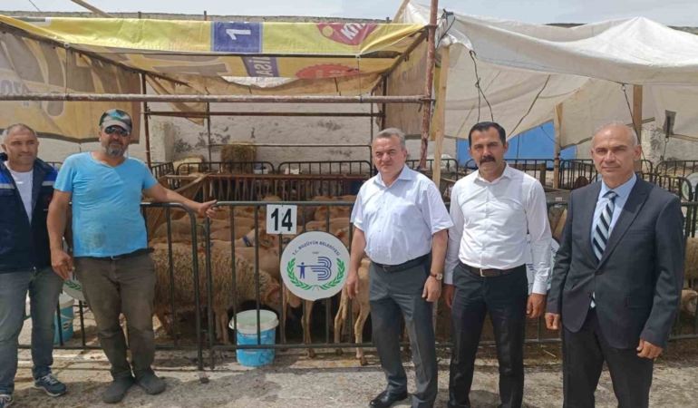 Kaymakam Öztürk hayvan pazarında incelemelerde bulundu